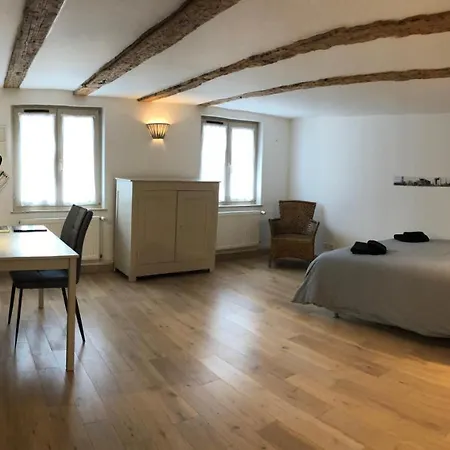 Aux Colombages - 10 Min Colmar Lejlighed