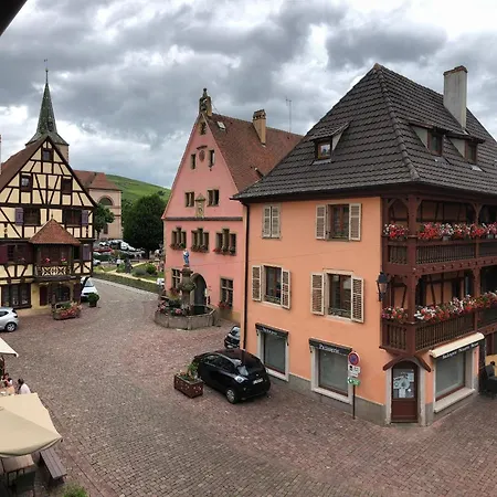 Aux Colombages - 10 Min Colmar アパート テュルクアイム