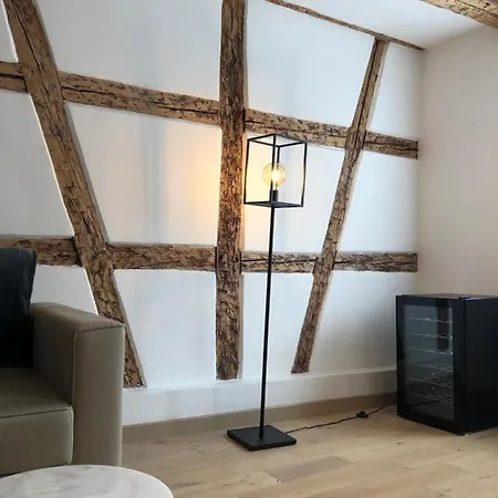 Aux Colombages - 10 Min Colmar Lejlighed *